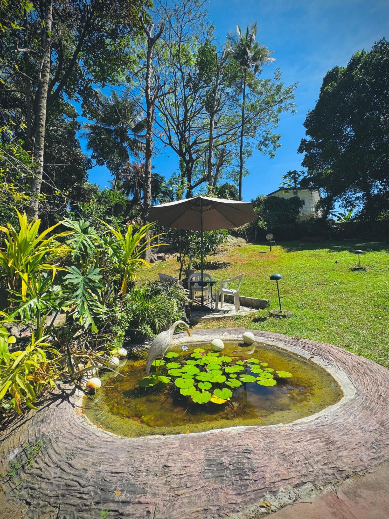 Mahaweli View Bungalow Kandy Extérieur photo