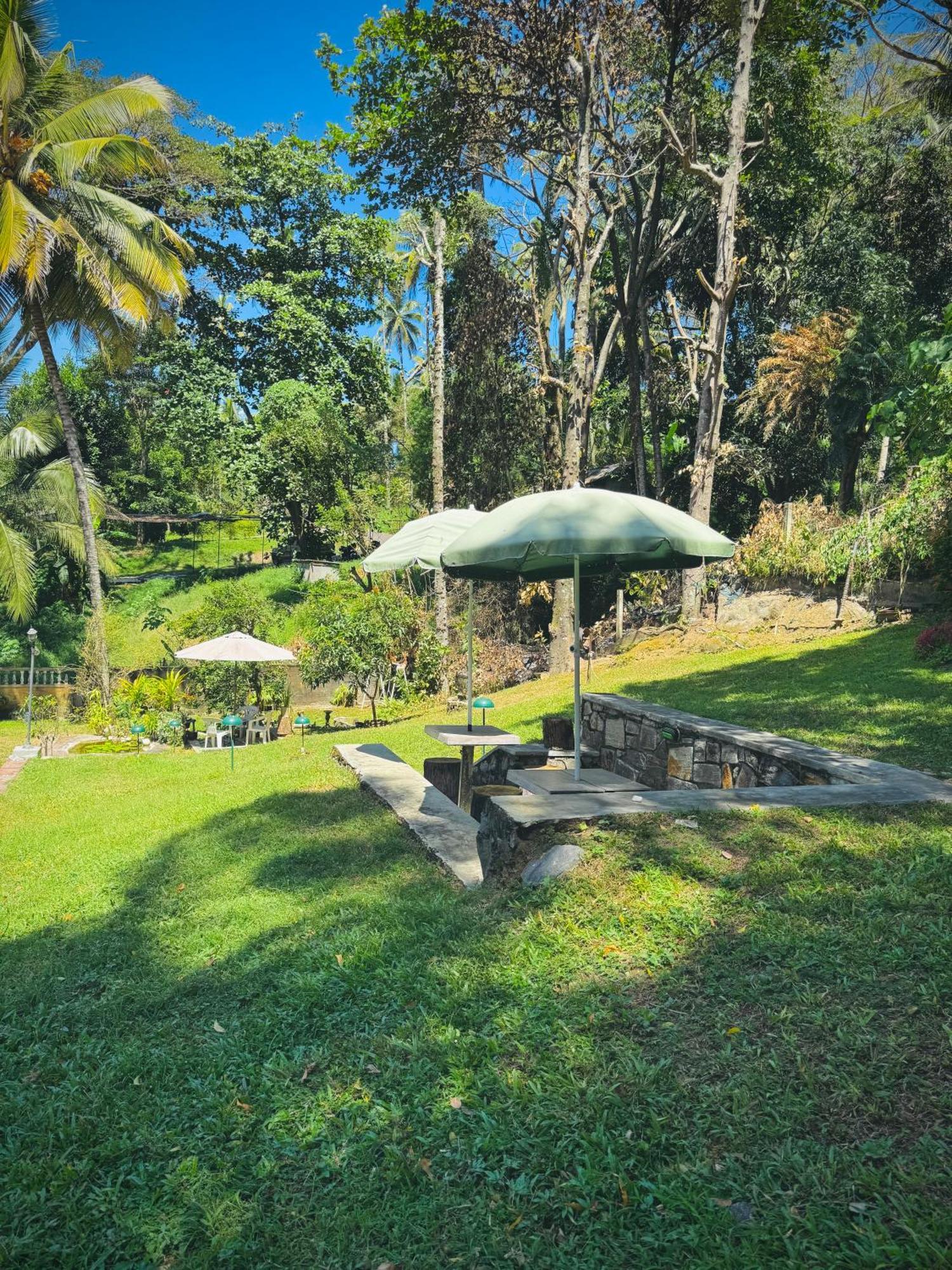Mahaweli View Bungalow Kandy Extérieur photo